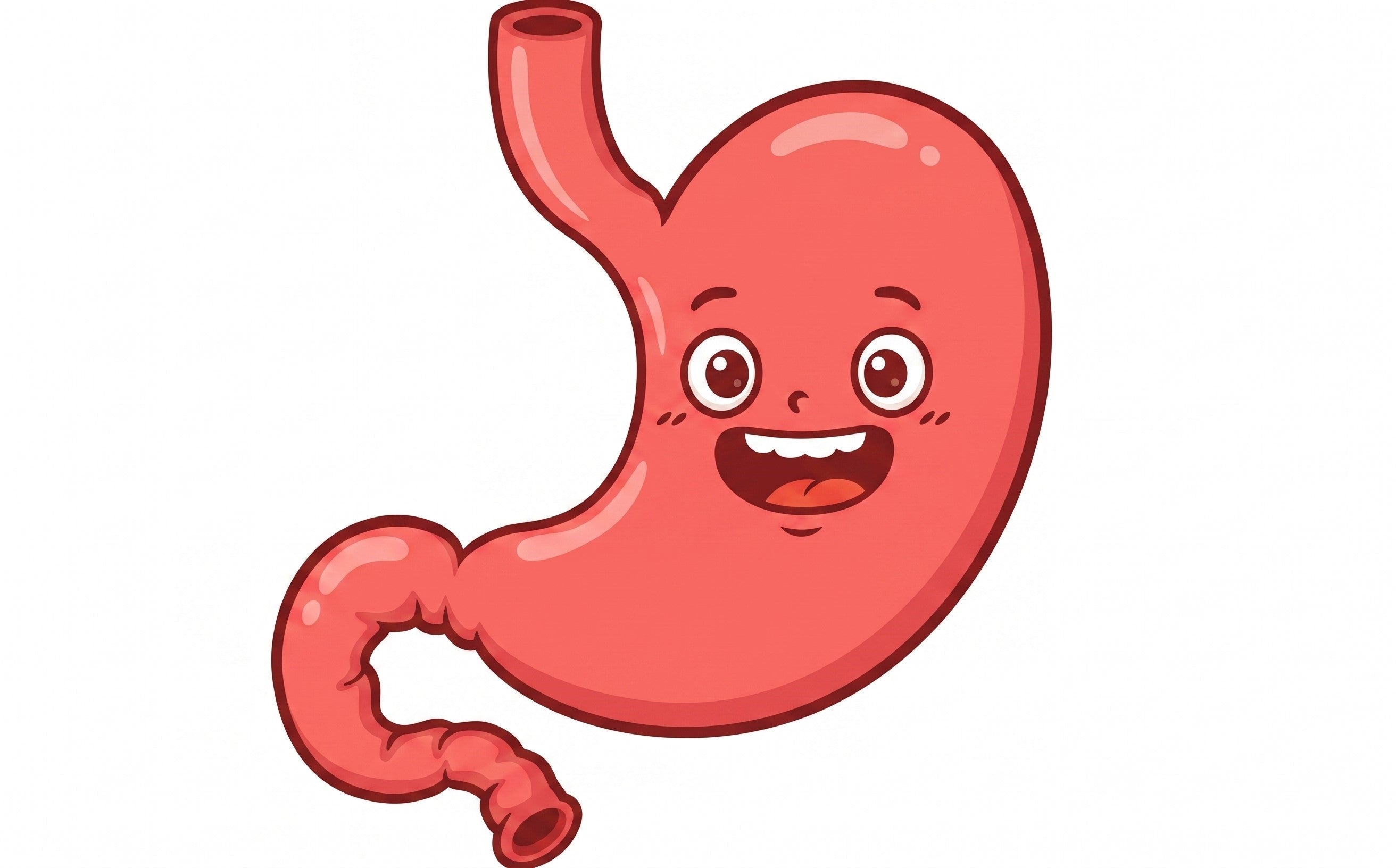 The "Slime" Shield: Why Your Stomach Doesn’t Digest Itself